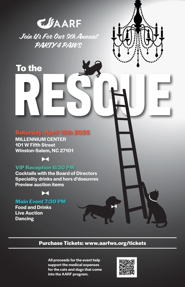 Gala poster in black and white: To the Rescue in tall display capitals, a chandelier hanging at the top right and a step ladder rising through the centre, with a drawn dog and cat at its foot and the event details beneath.